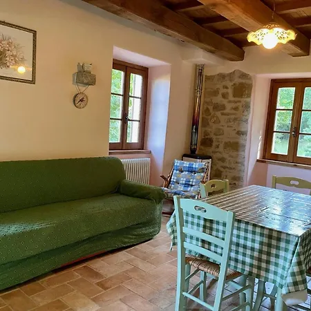 Sambuco Di Sopra Fratticciola Selvatica