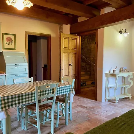 Sambuco Di Sopra Fratticciola Selvatica