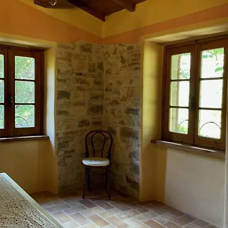 Sambuco Di Sopra Fratticciola Selvatica