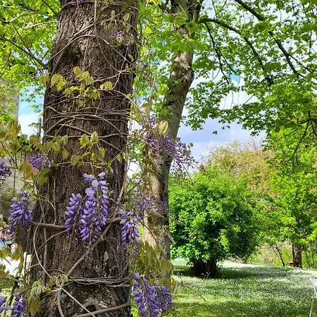 Apartament Sambuco Di Sopra *