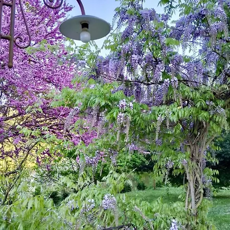 Sambuco Di Sopra Διαμέρισμα Fratticciola Selvatica