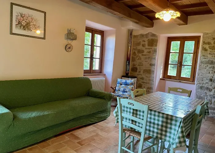 Sambuco Di Sopra Fratticciola Selvatica