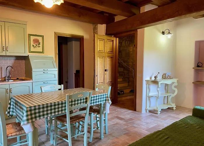 Sambuco Di Sopra Fratticciola Selvatica