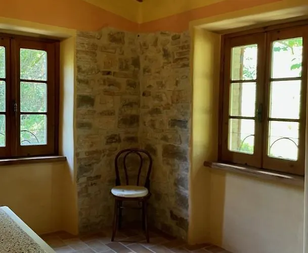 Sambuco Di Sopra Fratticciola Selvatica