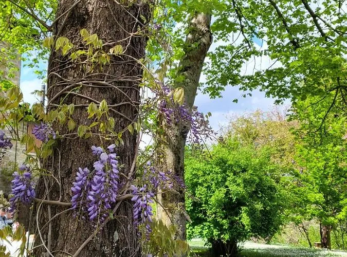 アパート Sambuco Di Sopra *