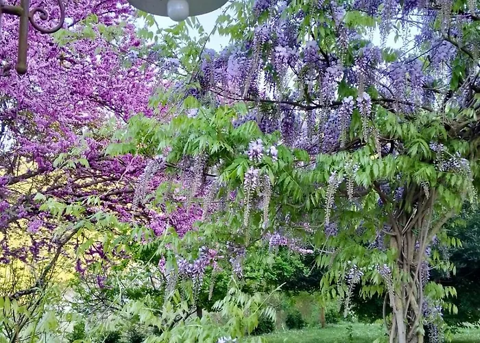 Sambuco Di Sopra アパート Fratticciola Selvatica